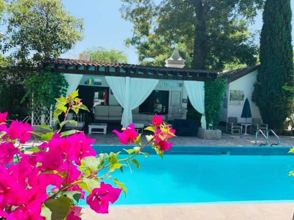 La Casita Inn Bustamante Kültér fotó