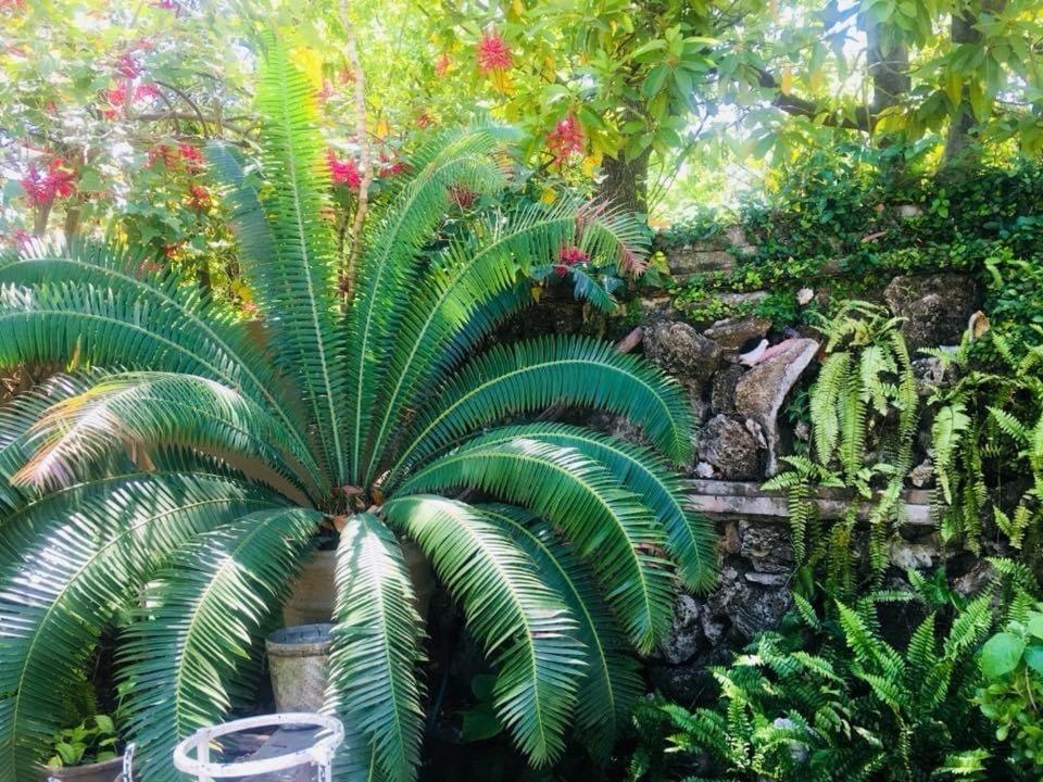 La Casita Inn Bustamante Kültér fotó