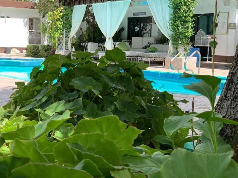 La Casita Inn Bustamante Kültér fotó