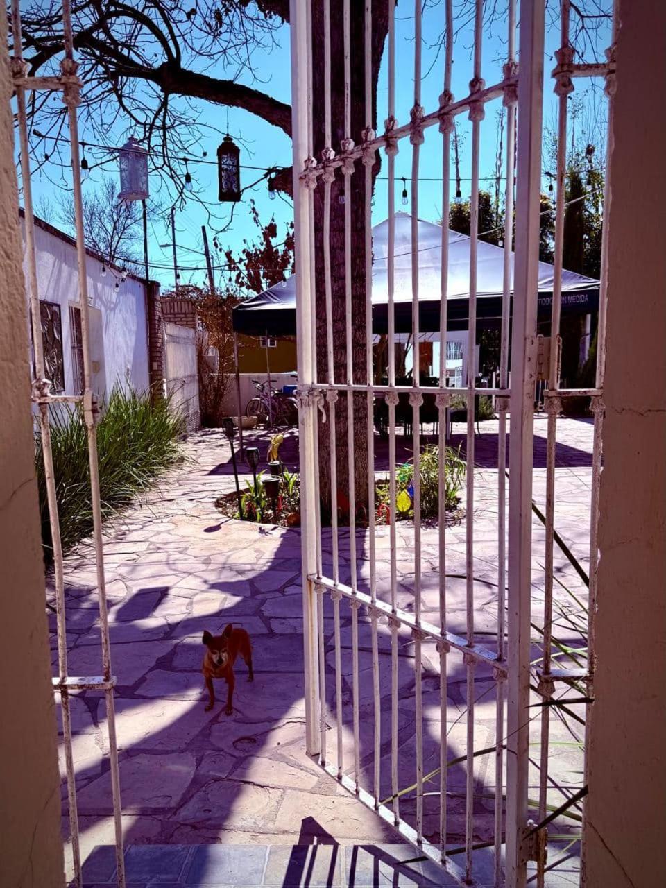 La Casita Inn Bustamante Kültér fotó