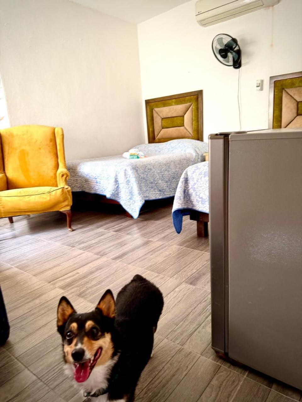 La Casita Inn Bustamante Kültér fotó