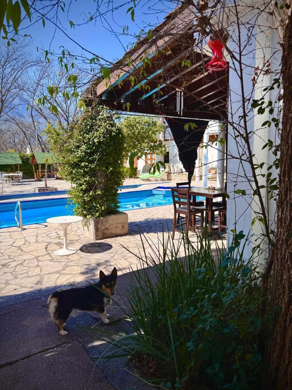 La Casita Inn Bustamante Kültér fotó
